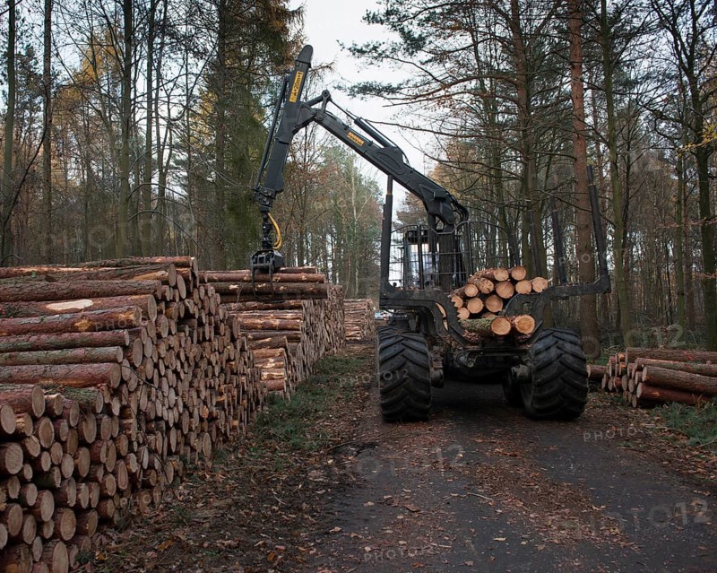 Forestry forwarder harvesting timber