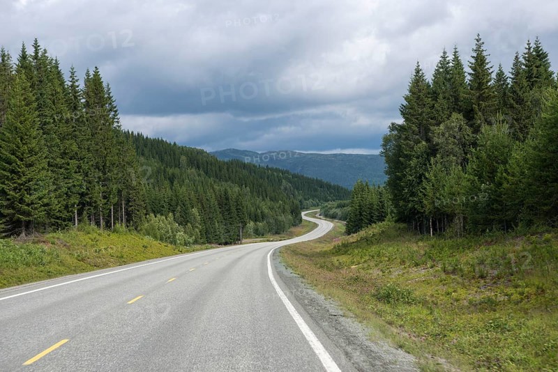 European route E6