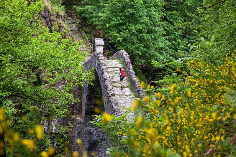 A woman hiking across the Ponte Romano bridge near Intragna