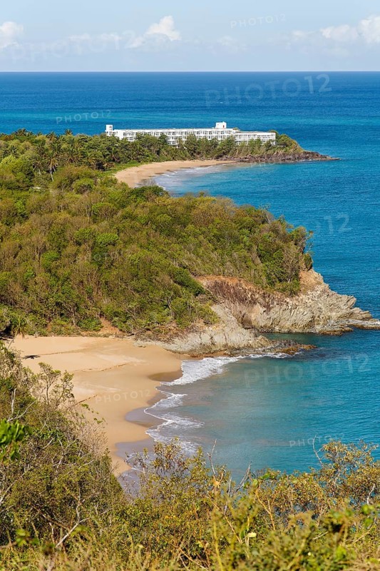 Corniche d'Or
