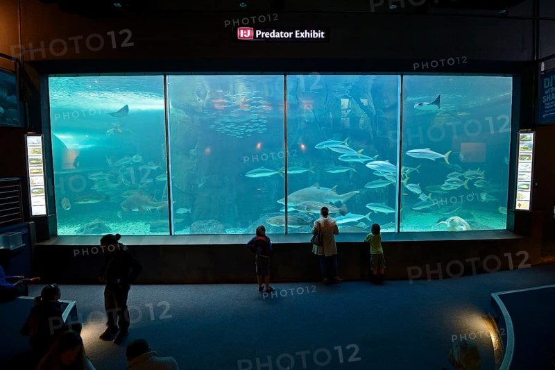 Two Oceans Aquarium