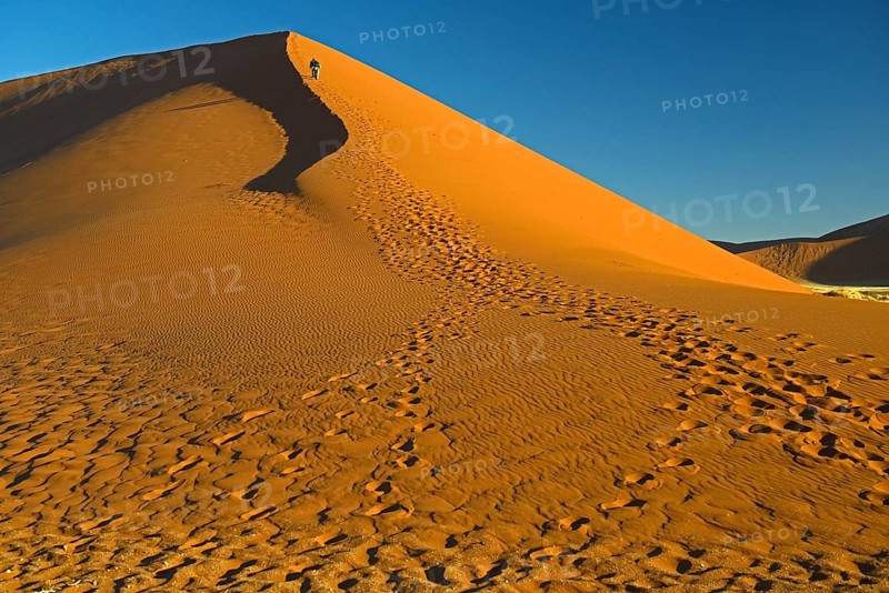 Tourists climbing Dune 45 in the evening light