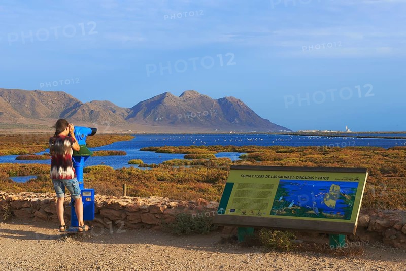 Woman watching birds through telescope