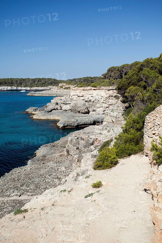 Rocky coast