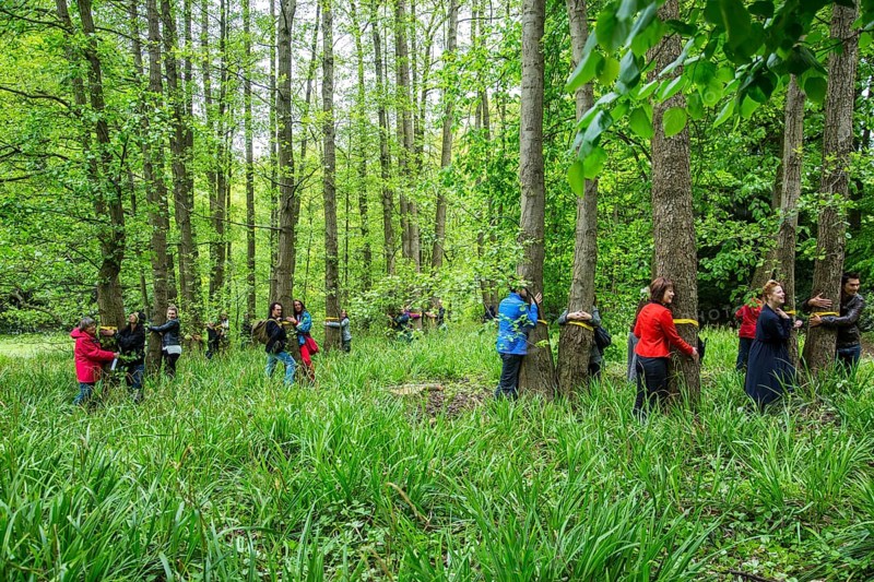 World record in tree hugging