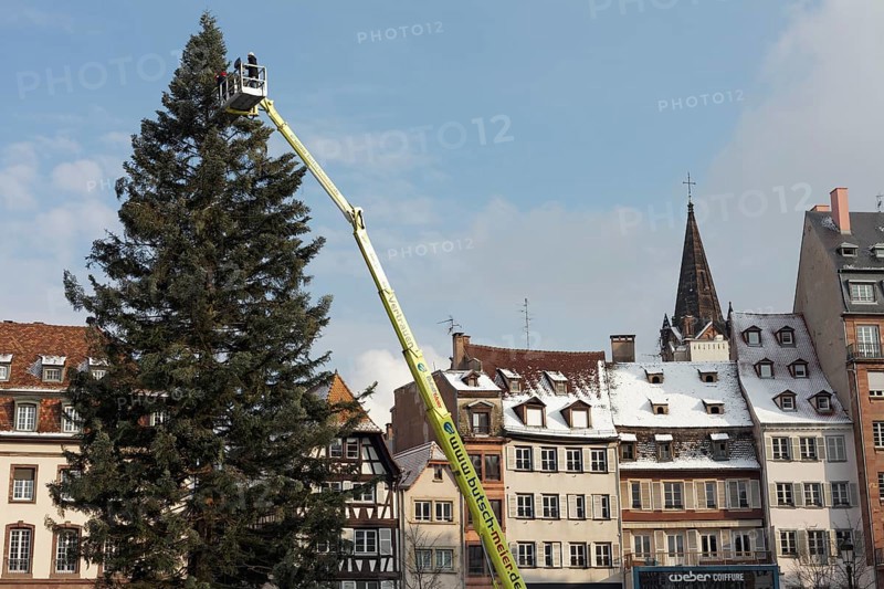 Giant Christmas tree in front of old town houses
