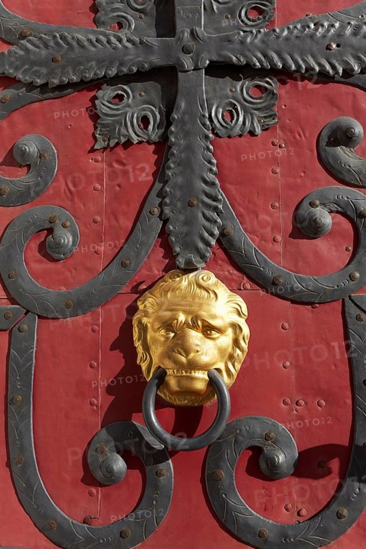 Historic door with fittings and a lion head door knocker