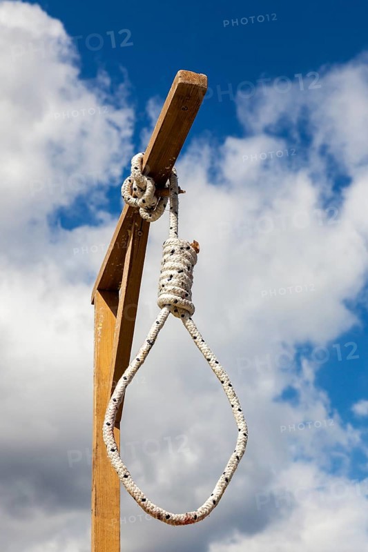 Symbolic gallows during a protest rally