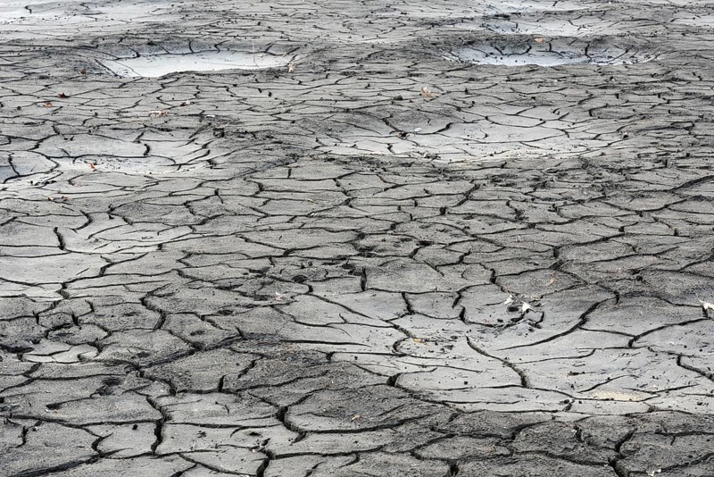 Cracked bed of a drained carp pond in autumn