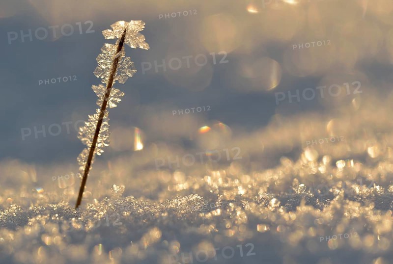 Ice and snow with backlighting