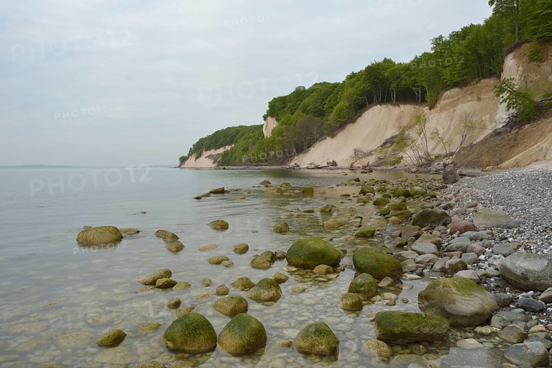 Steep coast with chalk cliffs at sunrise