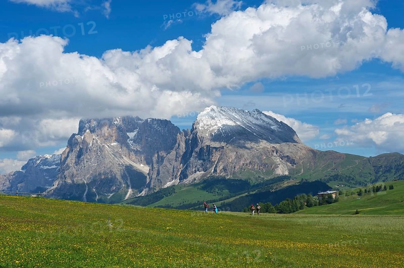 Seiser Alm alpine pastures in front of Piatto Mountain and Sasso Lungo Mountains