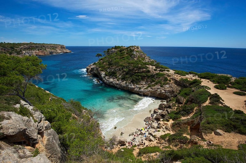 Bay Calo des Moro