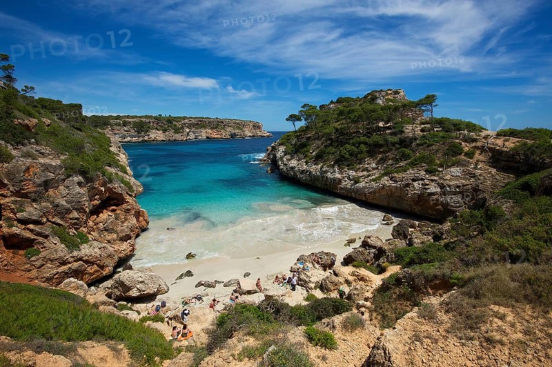 Bay Calo des Moro