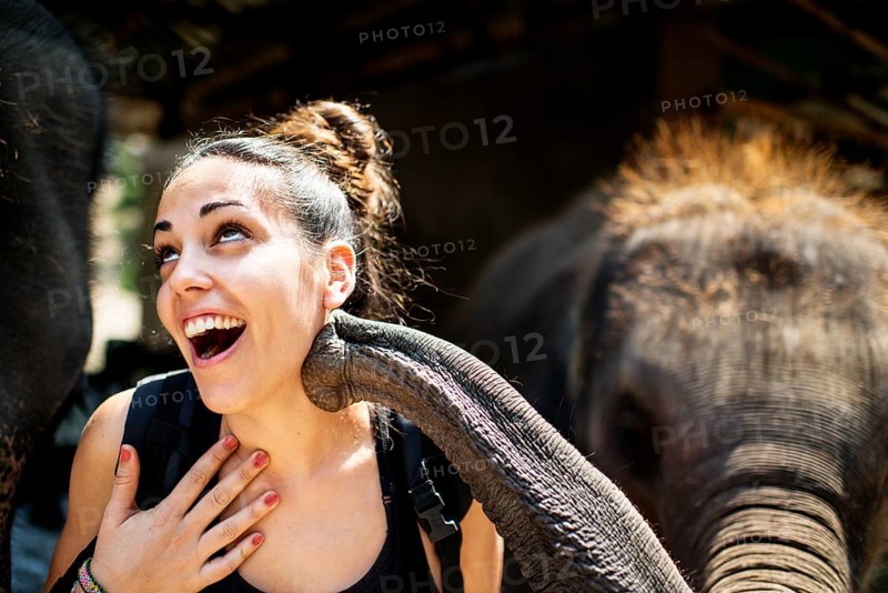 Elephant playing with tourist at an elephant camp