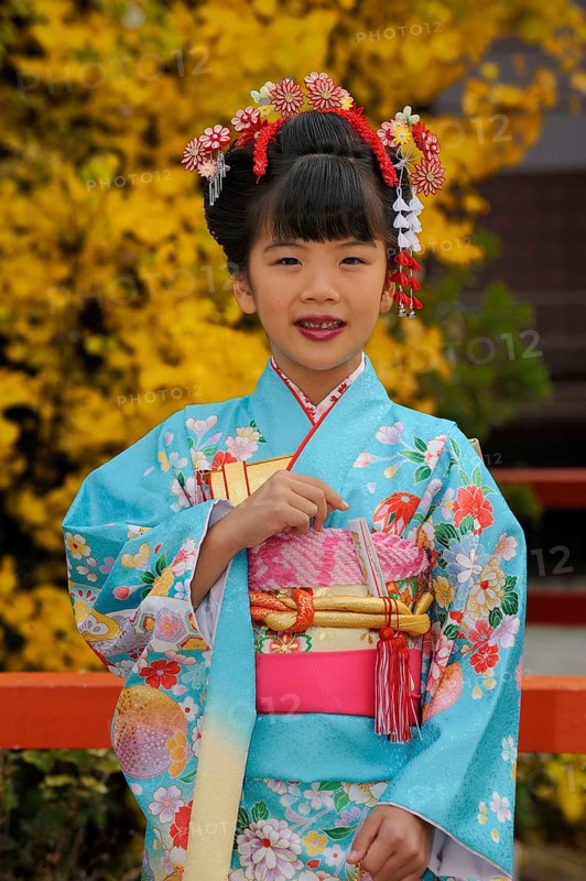 Japanese girl dressed festively for the Shichi-go-san Festival in Shimogamo Shrine