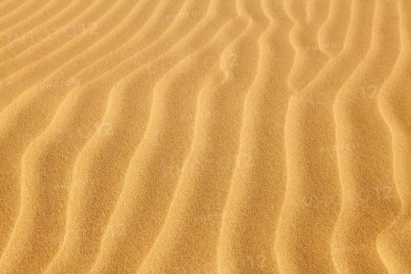 Wave-shaped structure in the sand dunes