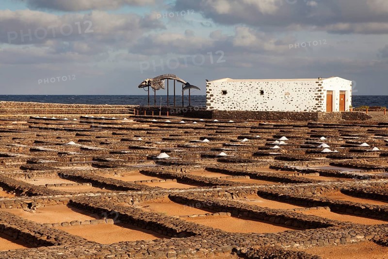 Las Salinas