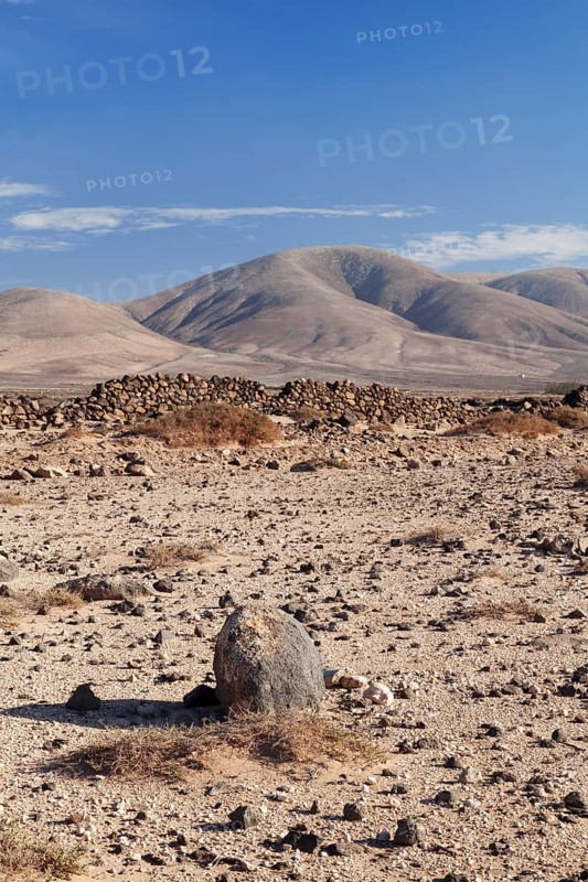 Desertlike landscape