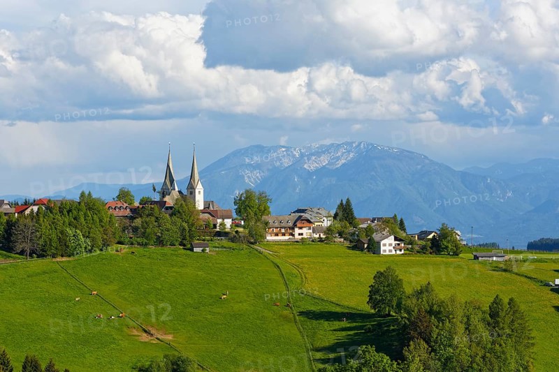 Town of Diex with pastures