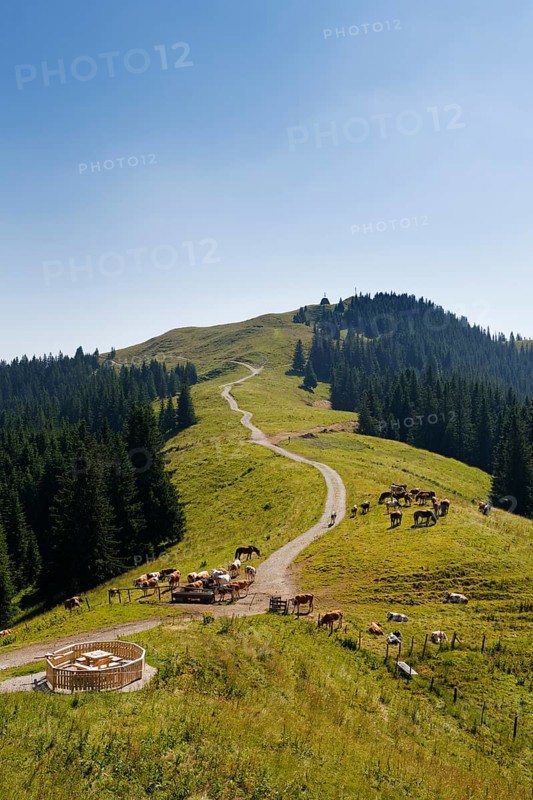 Hoernlealm alpine pasture