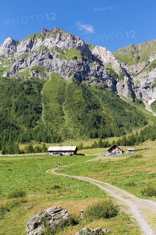 Ingridalm mountain pasture in Frohnbach Valley