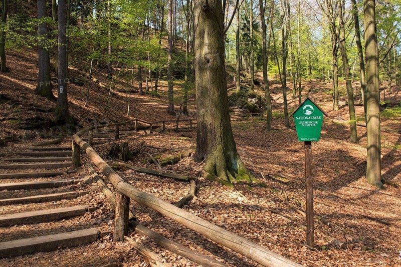 Painters' Path
