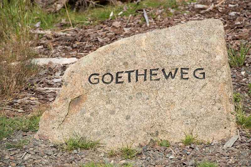 Goetheweg trail marker on the way to Brocken Mountain
