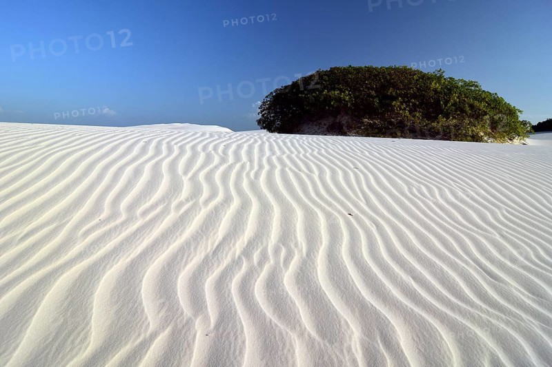 Desert of Lençóis Maranhenses