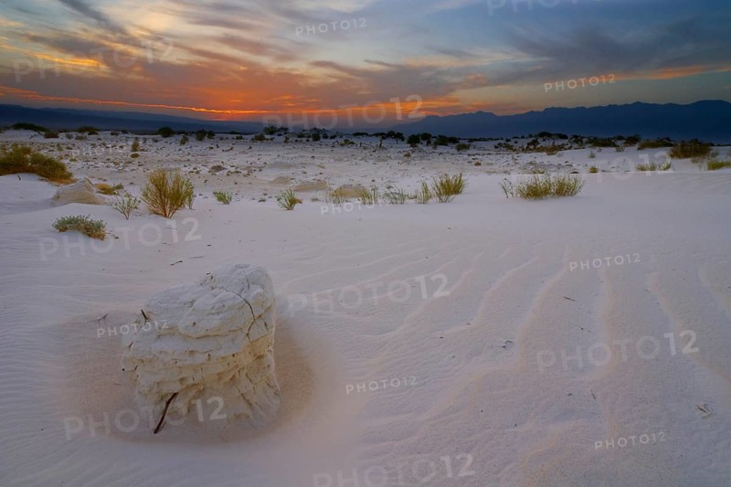 Gypsum dunes of Las Arenales in Cuatro Ciénegas Nature Reserve