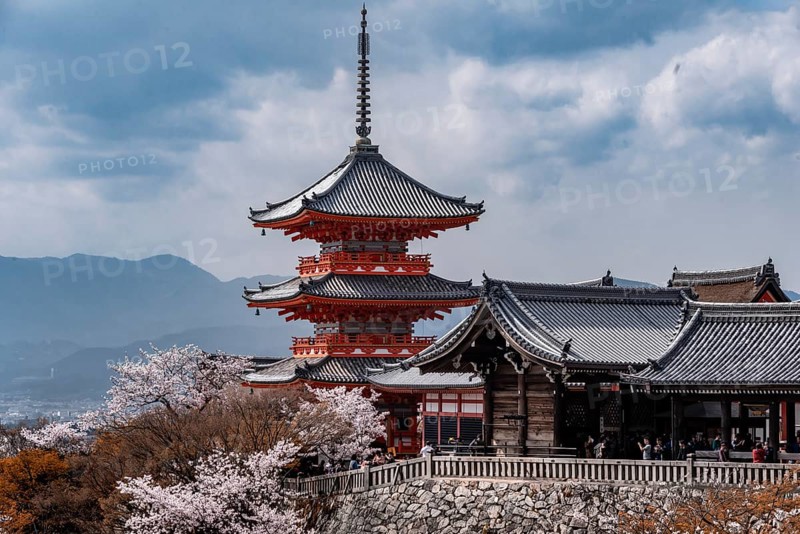 Pagoda and Zuigudo-Hall of the Kiyomizu-dera temple to the cherry blossom