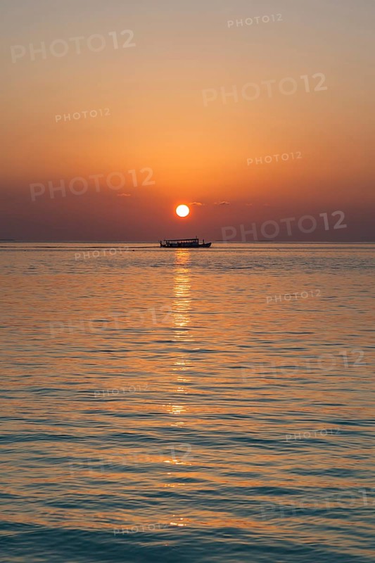 Sunset with a Dohni