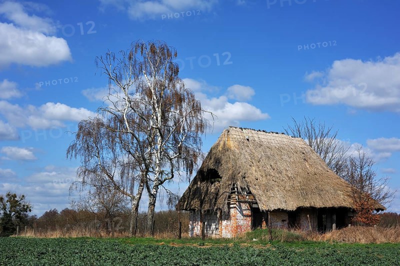 Derelict farmhouse with a thatched roof