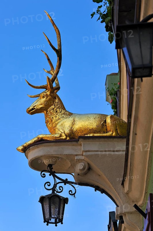 Deer sculpture