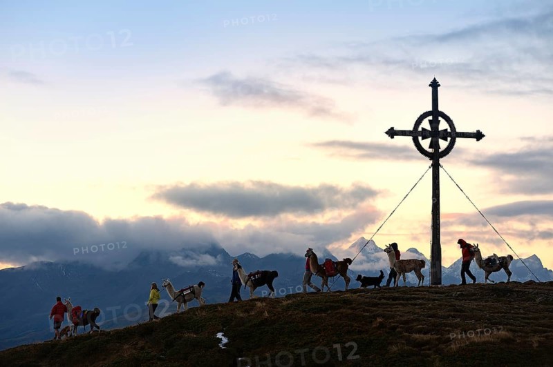 Lama tour to the summit of Ederplan Mountain in the Defregger Group