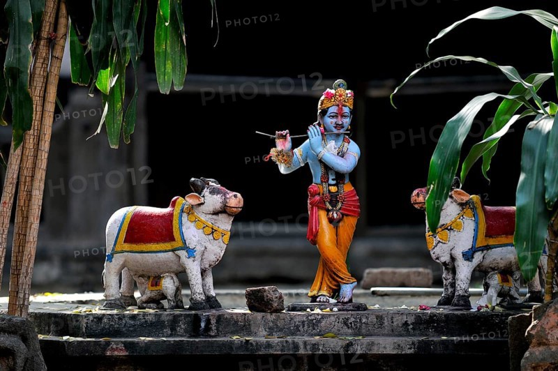 Sculptures
