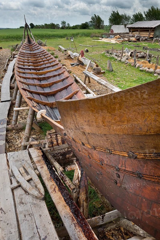 Viking ship
