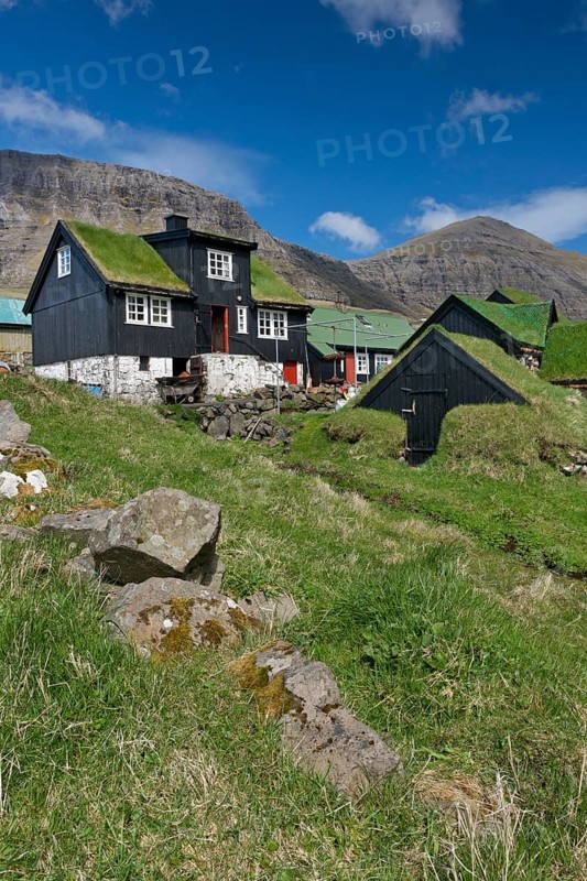 Traditional turf houses