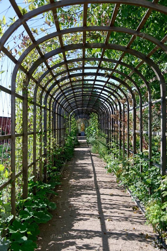 Portico in the herb garden