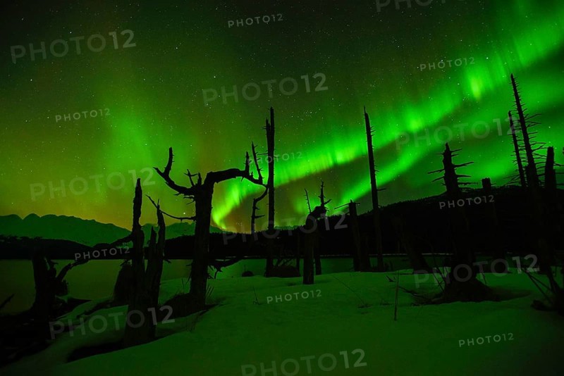 Northern lights