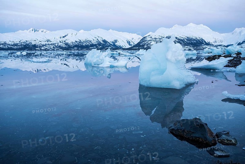 Icebergs at College Fjord