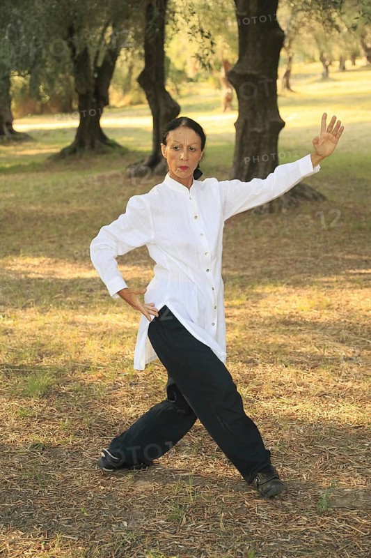 Tai Chi