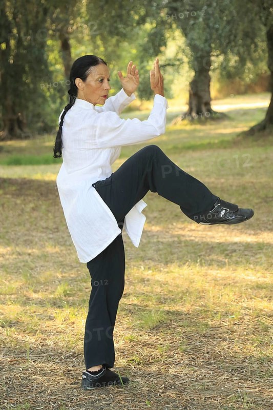 Tai Chi