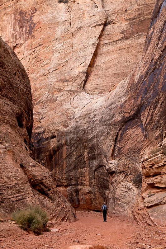 Tourist on the trail through Grand Wash Gorge