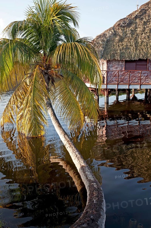 Villa Guama