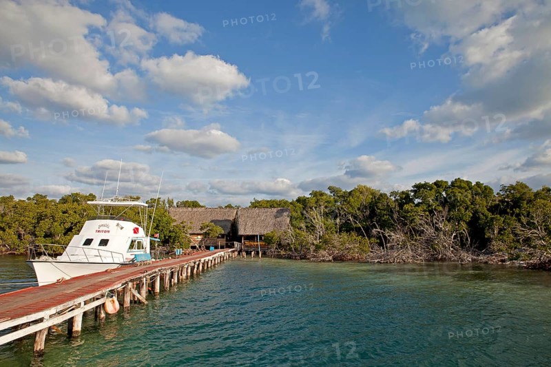Dock and pier