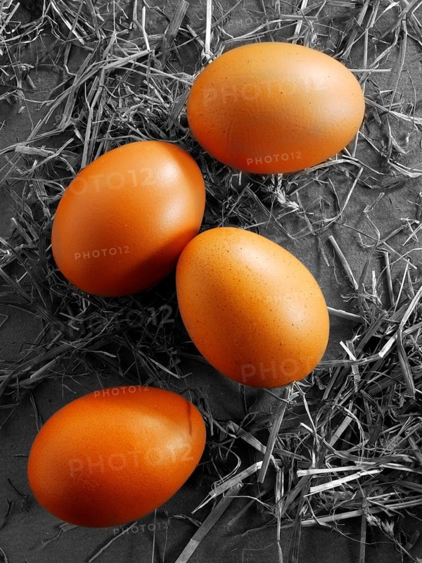 Fresh organic eggs