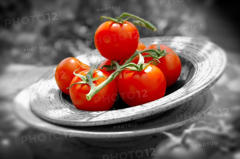 Fresh tomatoes on the vine