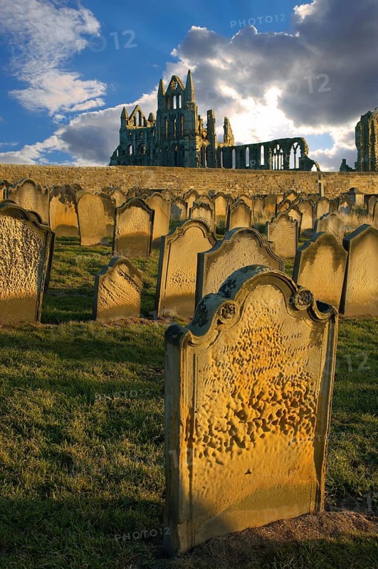 Whitby Abbey with grave stones in evening light