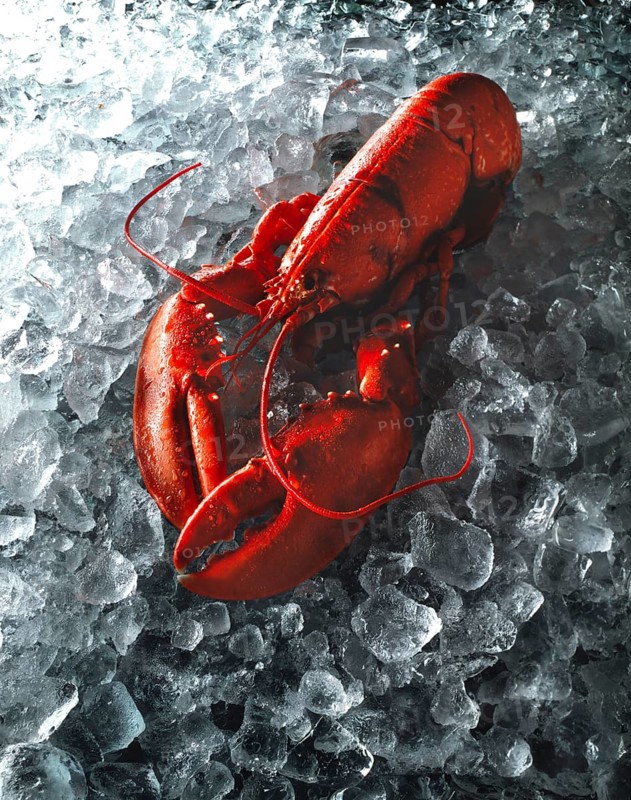Whole lobster on crushed ice